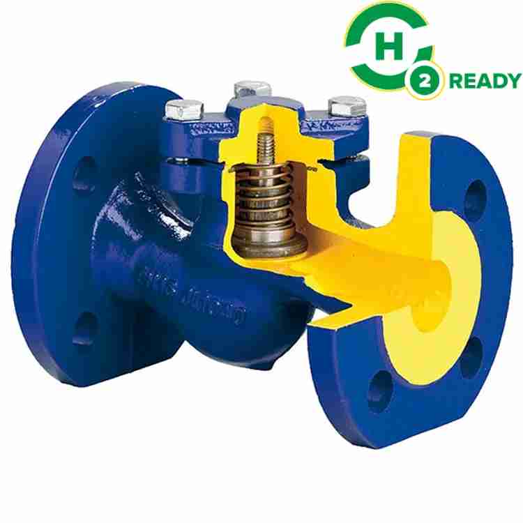 Distributor Zetkama Check Valve DN 15 PN 40 surabaya